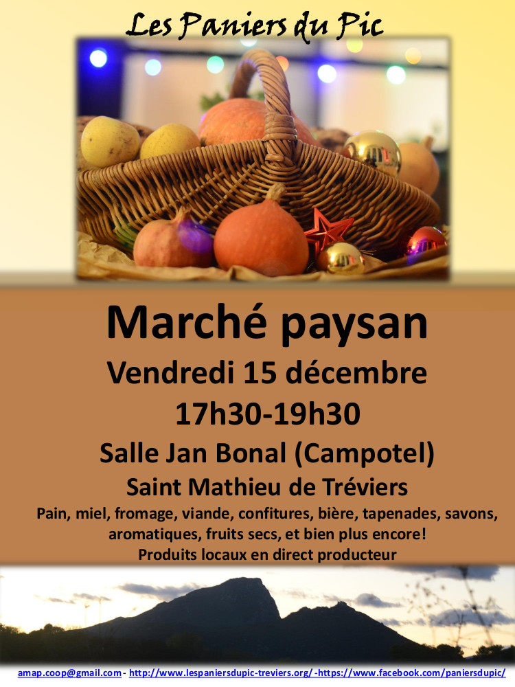 Affiche marche paysan noel 2017