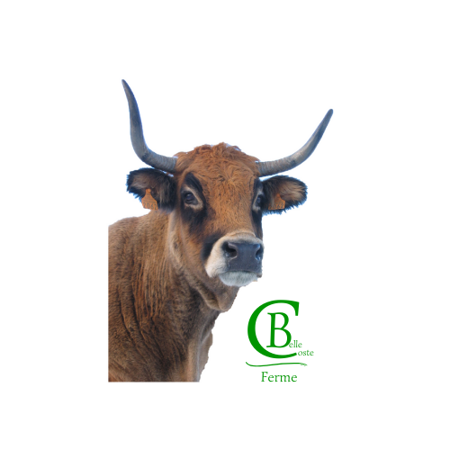 LOGO SIMPLIFIE VACHE