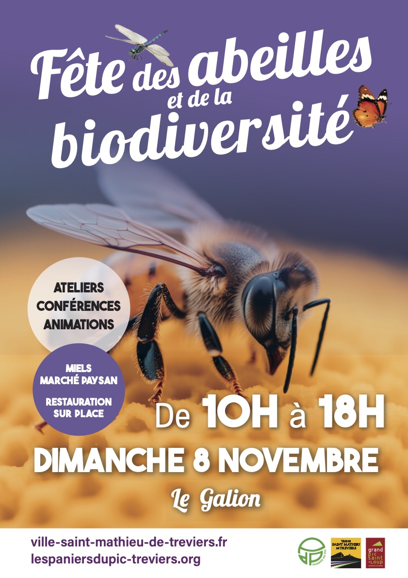 Affiche A3 Fete des abeilles 2026